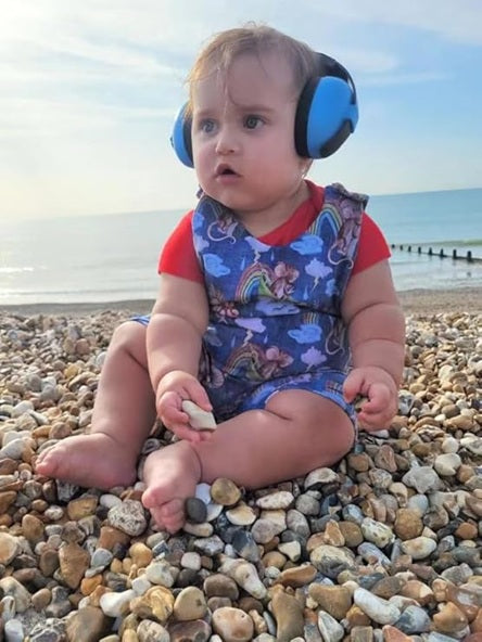 PANDAEAR noise-cancelling headphones + case