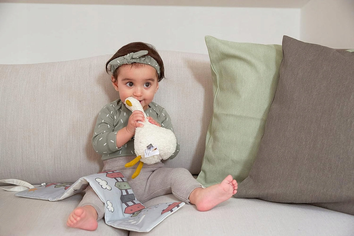 LASSIG cutie muzicală digitală pentru gâște cu difuzor Bluetooth 22 cm