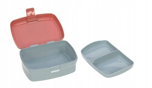 LASSIG caja de desayuno con diseño de dinosaurio para niños