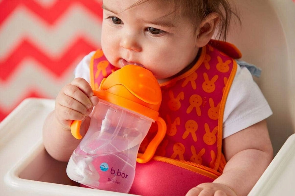 B.BOX Sippy Cup tudkop 240 ml 6 m+
