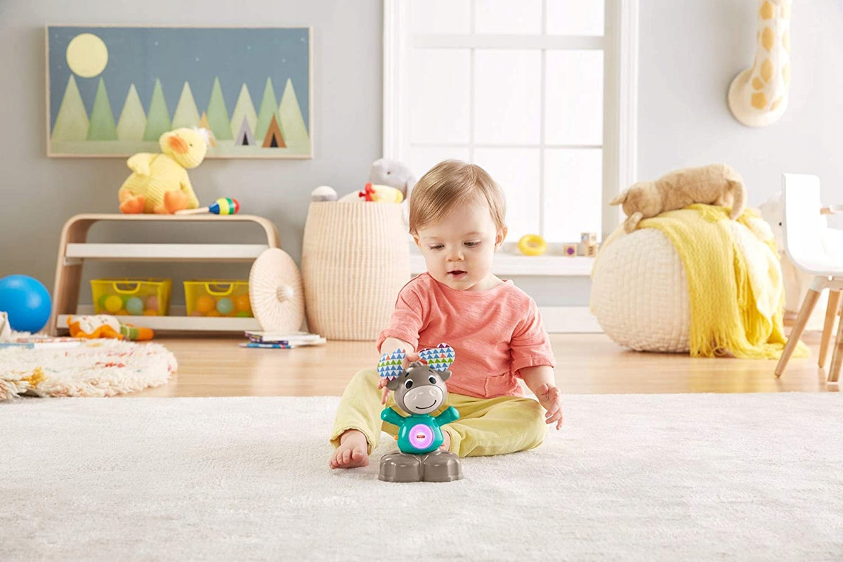 FISHER-PRICE GHR20 interactif ÉLAN langue anglaise