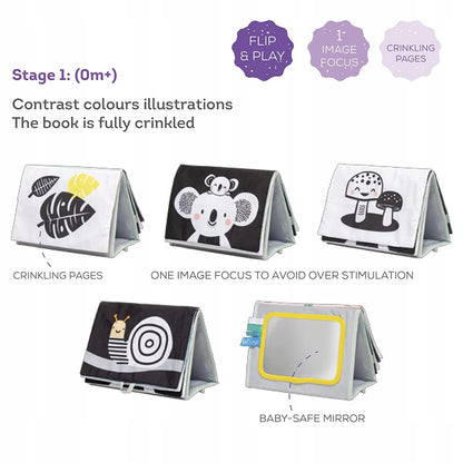 TAF TOYS contrast book with mirror