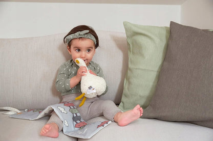 LASSIG cutie muzicală digitală pentru gâște cu difuzor Bluetooth 22 cm