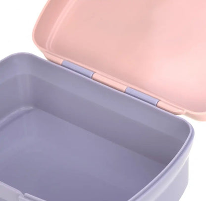 LASSIG lunch box with lion motif