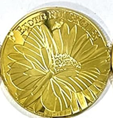 BRADOC Zahnfee vergoldete Metallmünze für unter das Kopfkissen 4 cm SCHMETTERLING