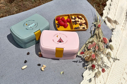 LASSIG boîte à goûter avec plateau amovible pour snacks 460 ml TIPI