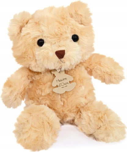 HISTOIRE d'OURS miś przytulanka