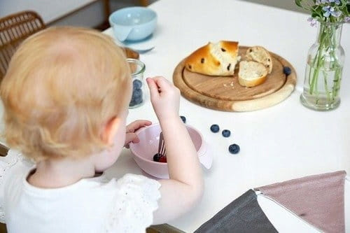 LASSIG Little Chums assiette en silicone avec ventouse