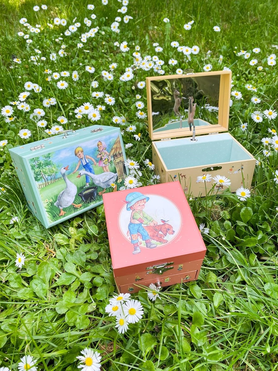 TROUSSELIER Geese winding music box
