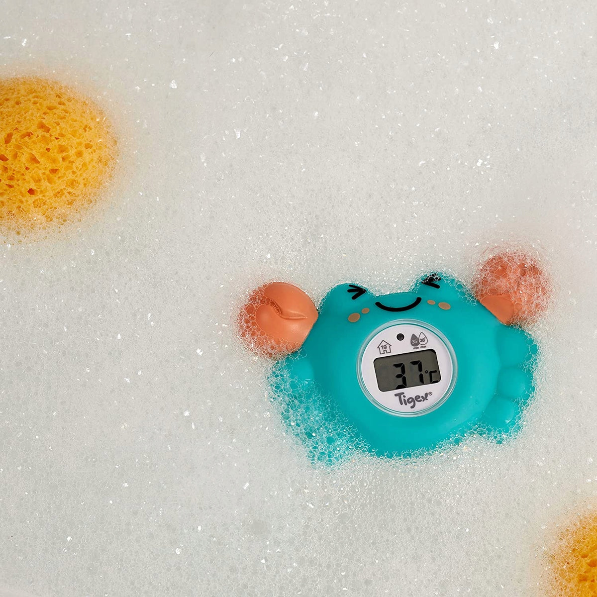 TIGEX digitale krabthermometer voor kamer en bad