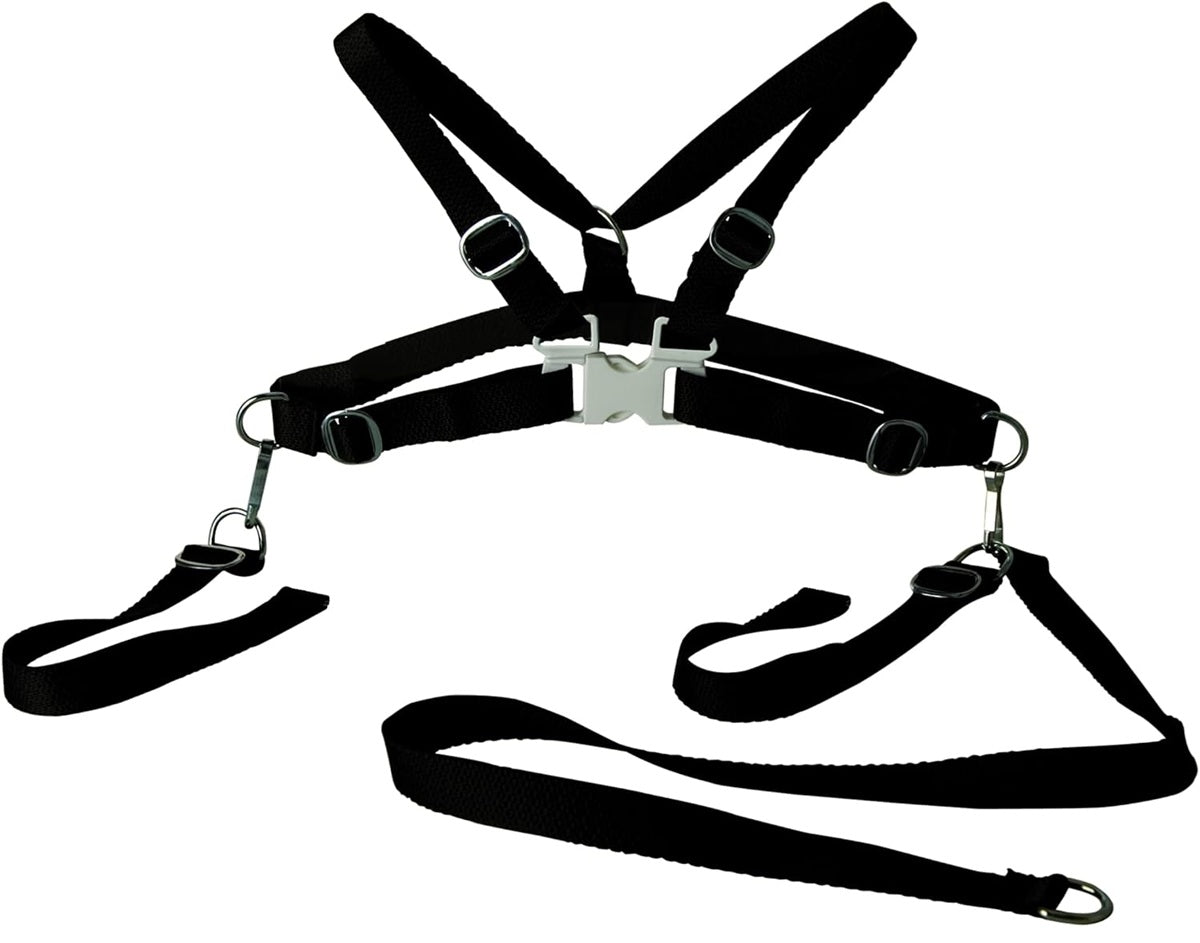 SUNNYBABY 10066 safety harness