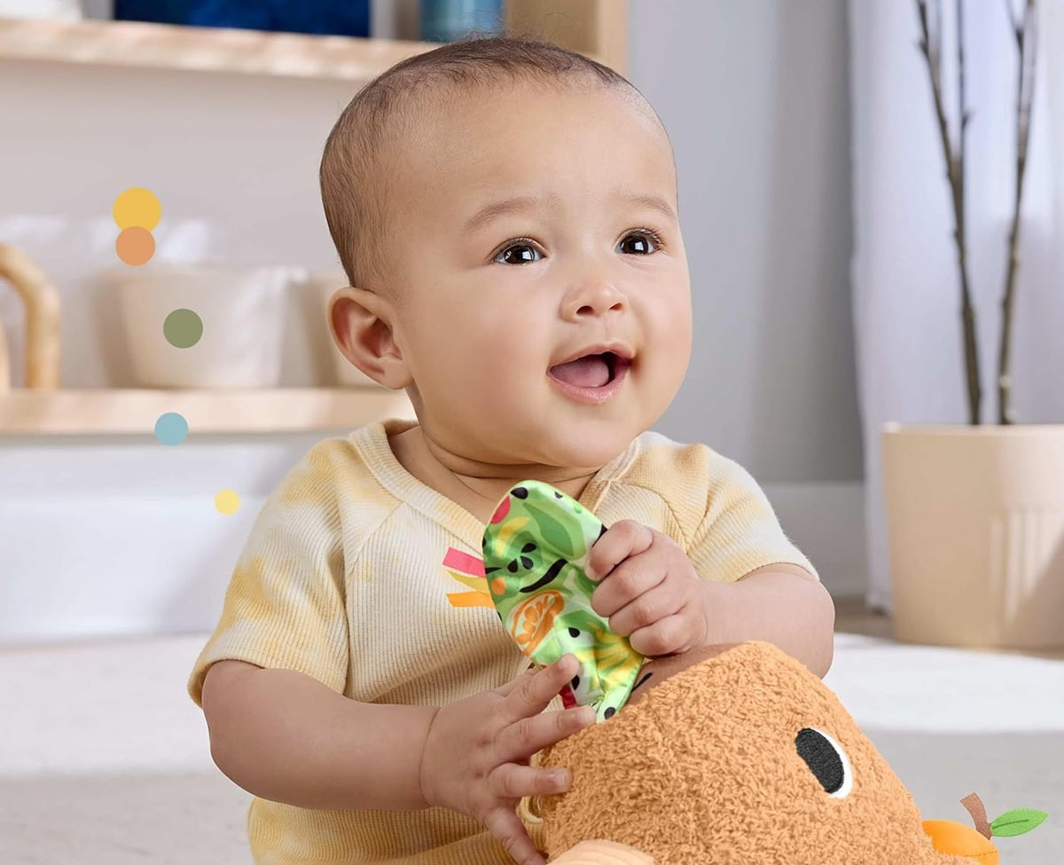 FISHER-PRICE HYR54 sensory capybara