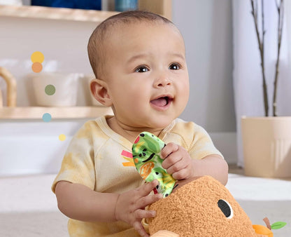 FISHER-PRICE HYR54 sensory capybara