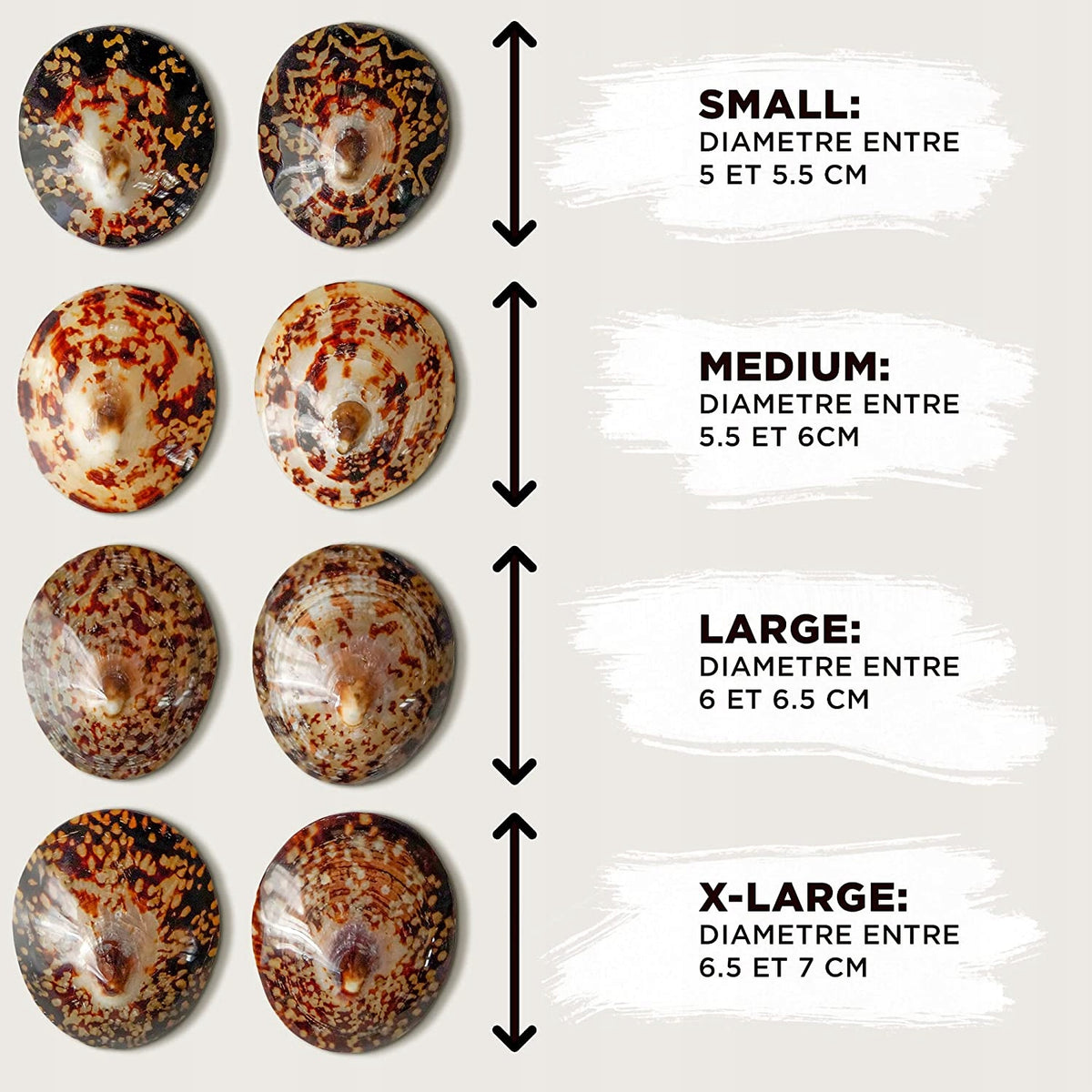 MOM'S SHELLS nakładki muszle z masą perłową rozm. S