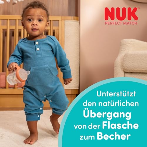 NUK Perfect Match Learner cup 150 ml 6m+ Winnie the Pooh