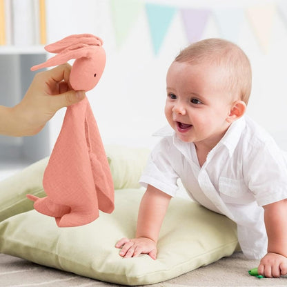 VICLOON bunny comforter, cuddle blanket