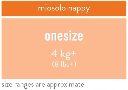 BAMBINO MIO couche lavable MIOSOLO AIO