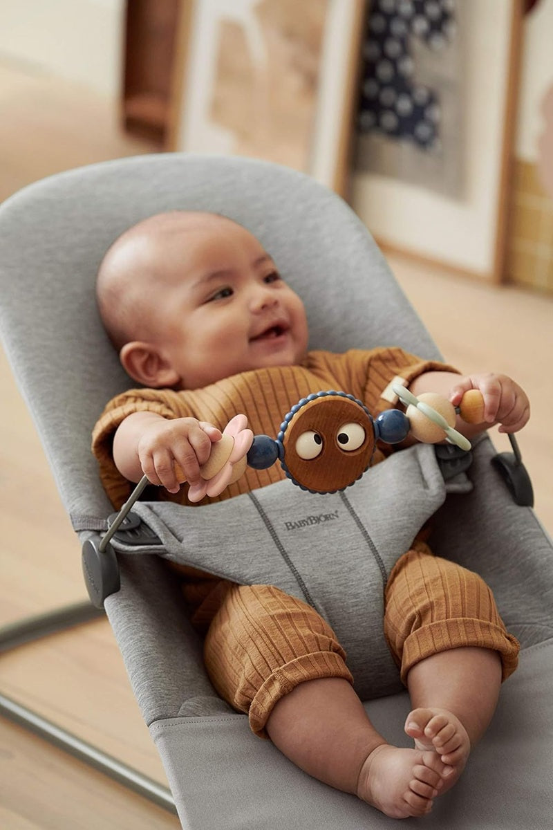 BABYBJORN toy arch for bouncer
