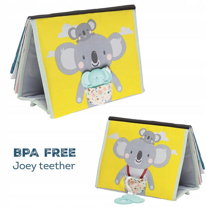 TAF TOYS contrast book with mirror