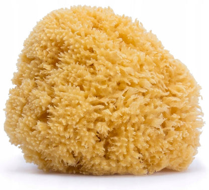 SUAVINEX sea sponge