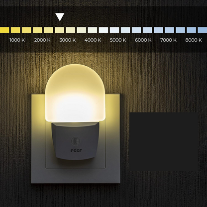REER NightGuide lampka nocna LED do gniazdka, czujnik ciemności 6 x 9,5 cm – biały szerokość 6 cm, długość 9,5 cm zasilanie…