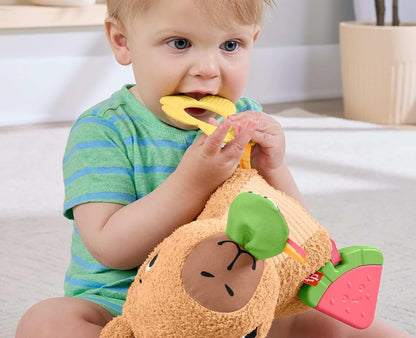 FISHER-PRICE HYR54 sensory capybara