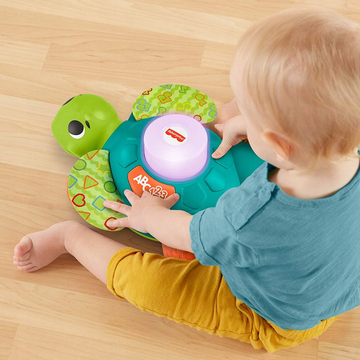 FISHER-PRICE GXK35interactive sea turtletoy in germanage 9 m +colour greenlength 24.5 cmBatteries 3 x AA (test