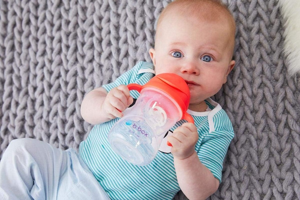 B.BOX Sippy Cup tudkop 240 ml 6 m+