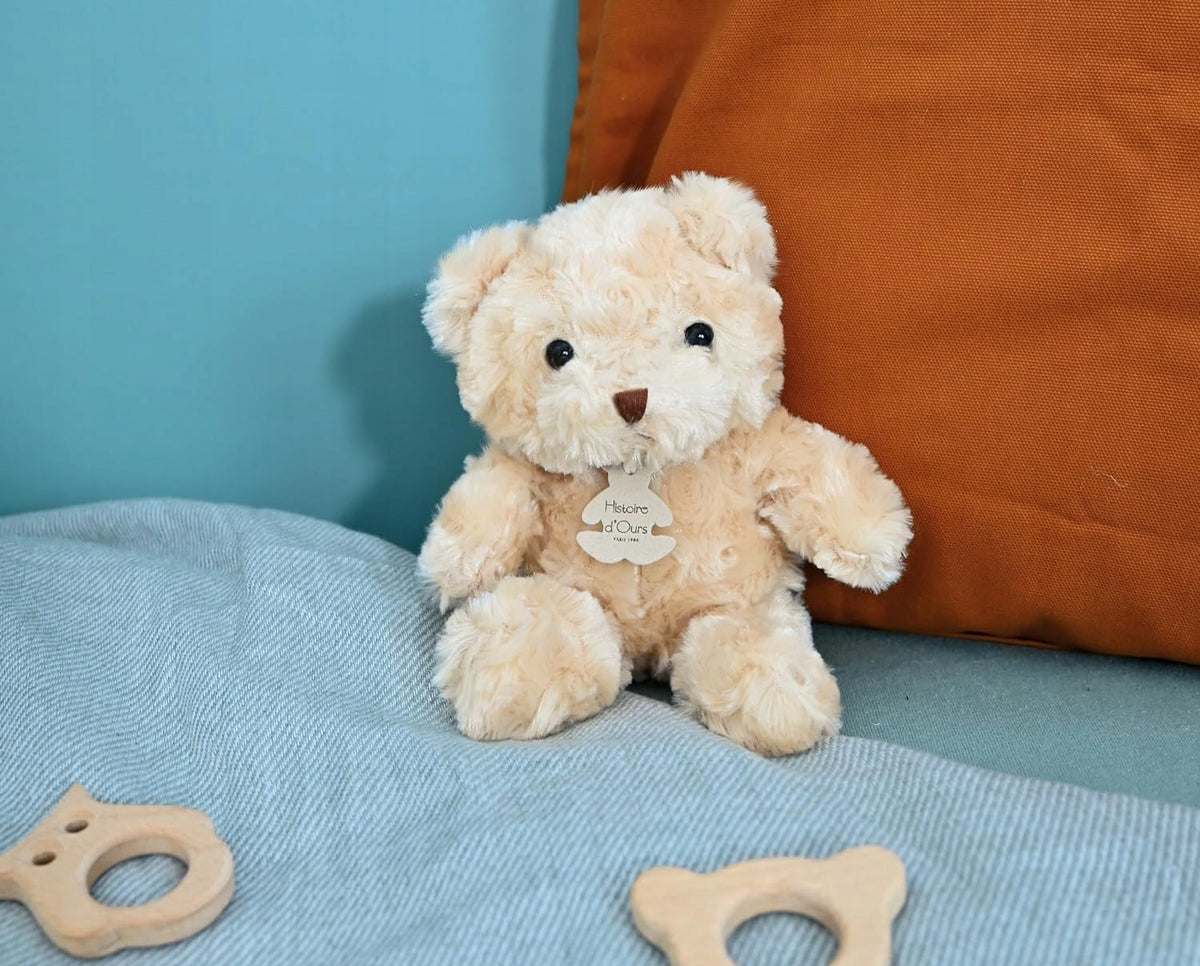 HISTOIRE d'OURS miś przytulanka